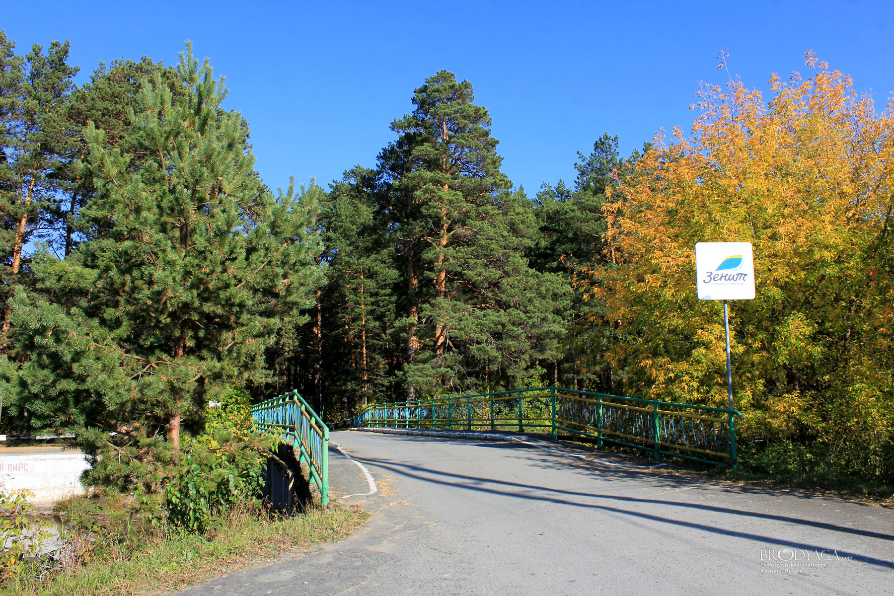 Kashino (Кашино)